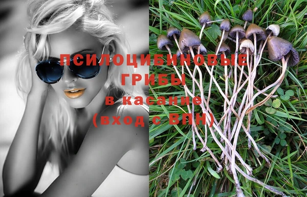 скорость Абаза