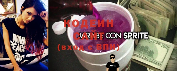 крисы Пенза